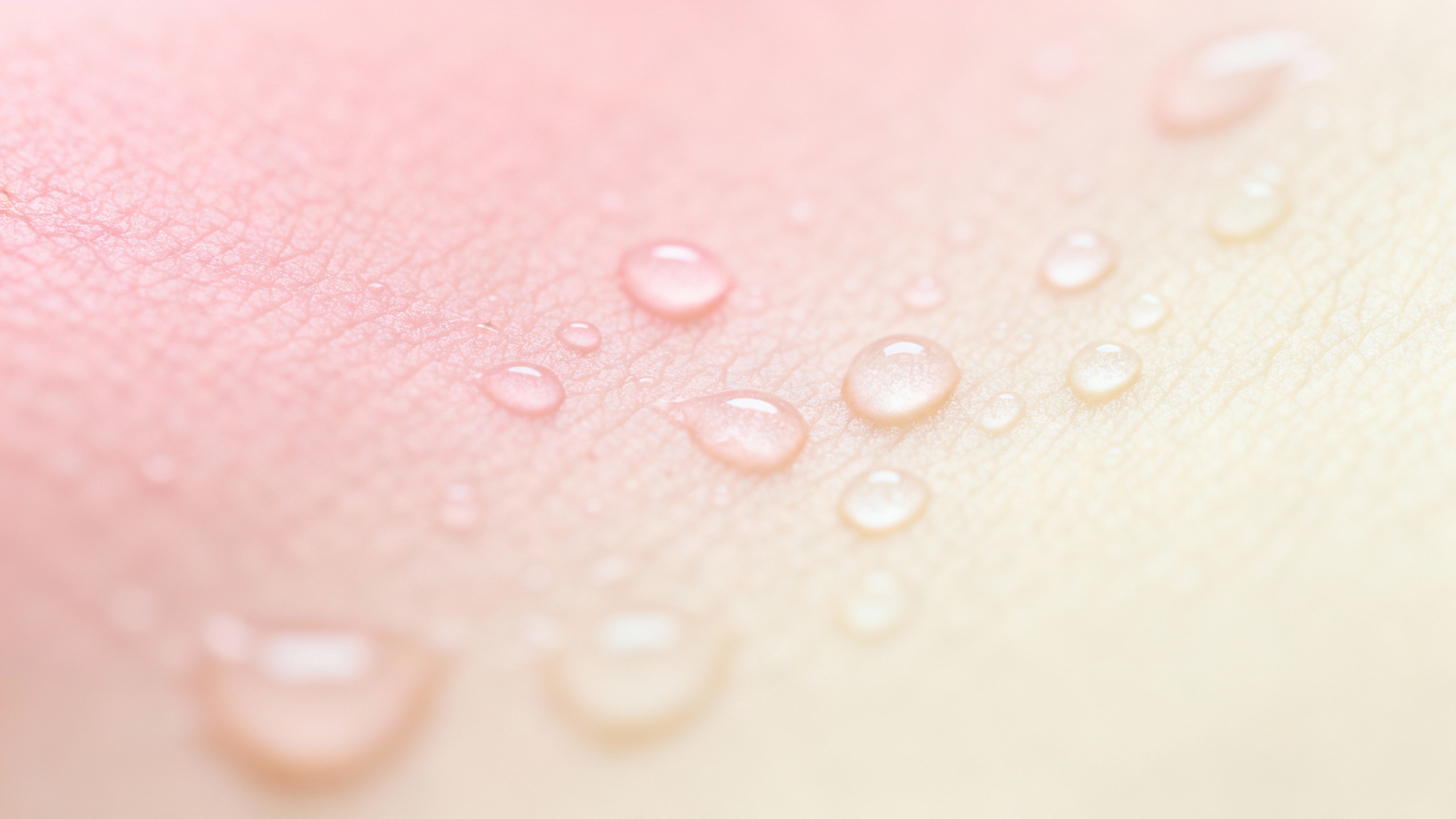 Featured image for Facing the Battle: Ringworm Relief Techniques for Clearer Skin